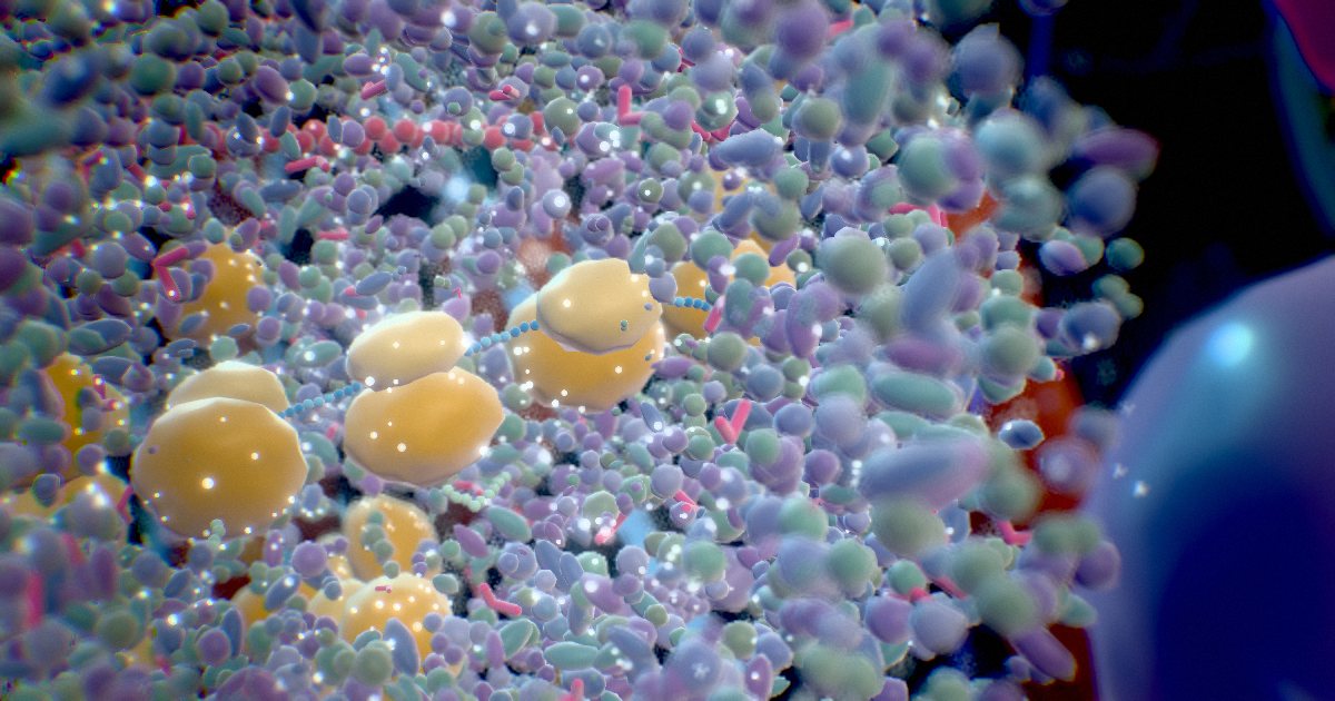 Cytoplasm · A crowded, jostling gel