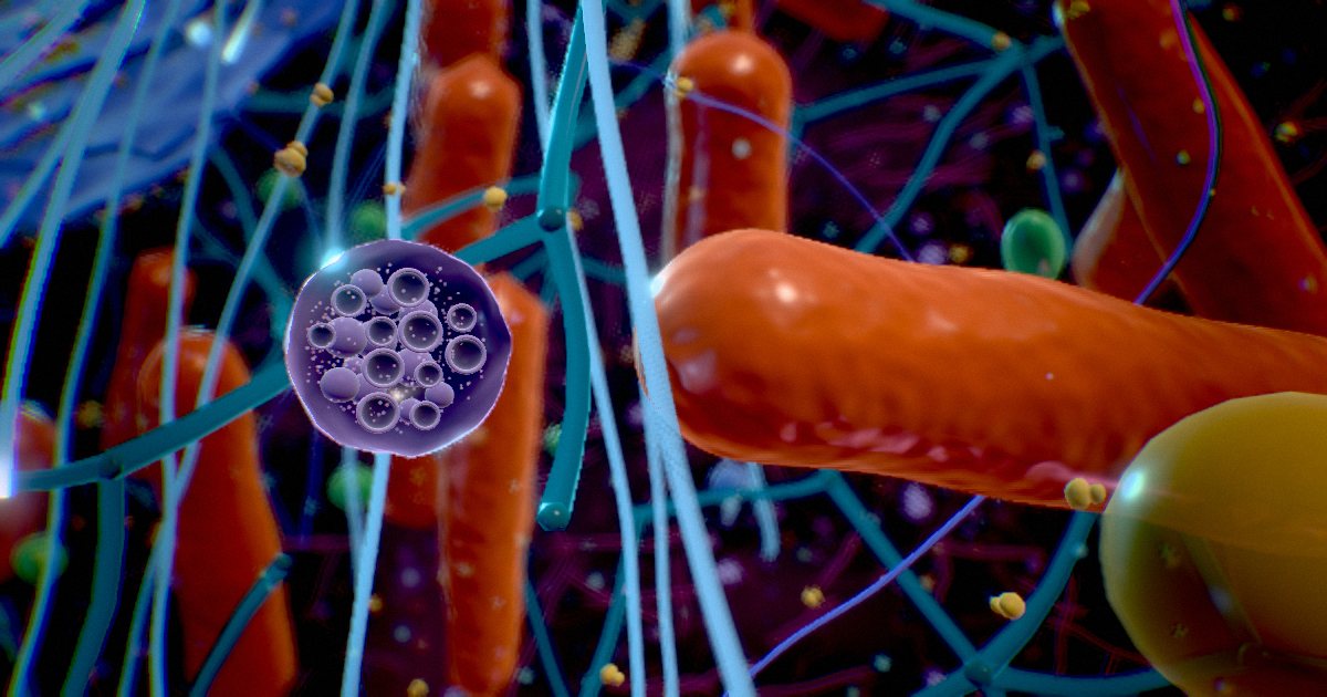 Endosomes · Sorting stations on the way in