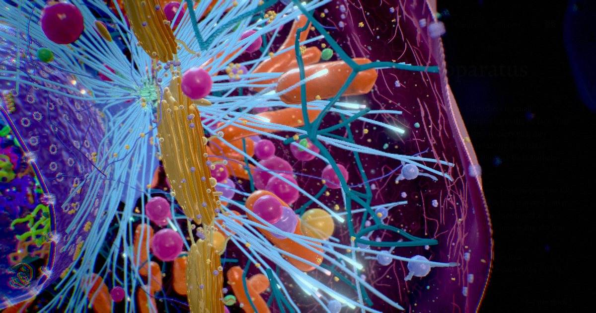 Golgi apparatus · The post office