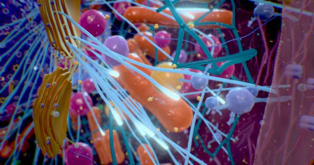 Microtubules · Highways and scaffolding
