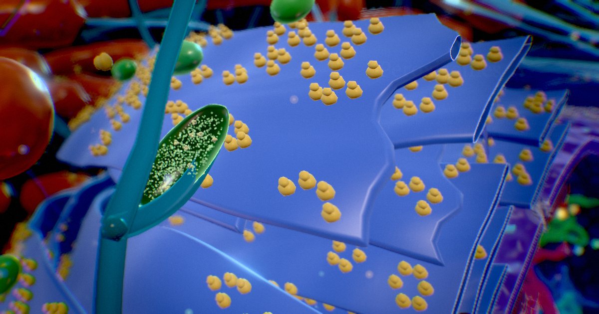 Peroxisomes · Chemical safety officers