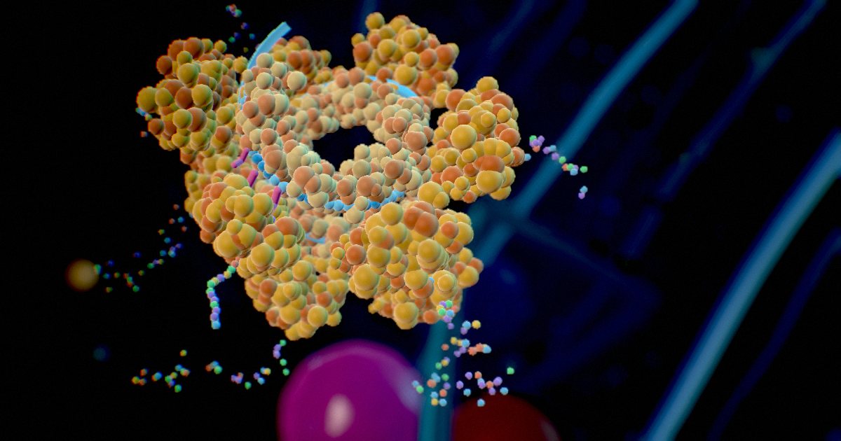 Ribosomes · The protein makers